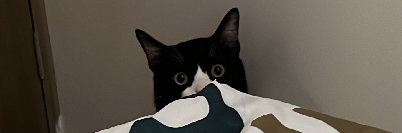 Marialdnp's profile banner image