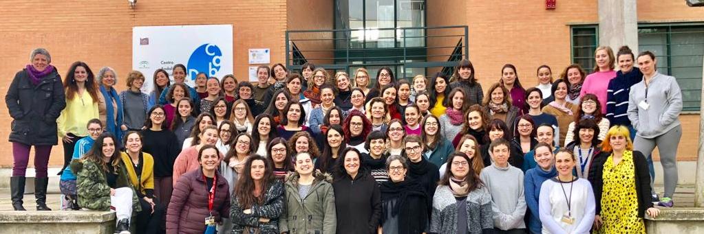 CABD-GenderEquality banner