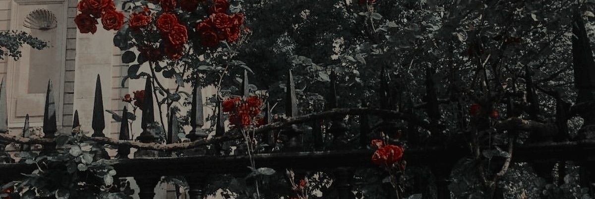 Abjectesque's profile banner image