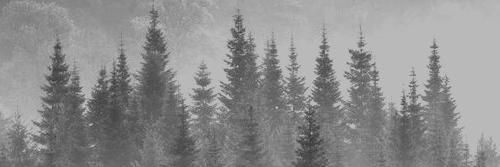 lessandro_esp's profile banner image