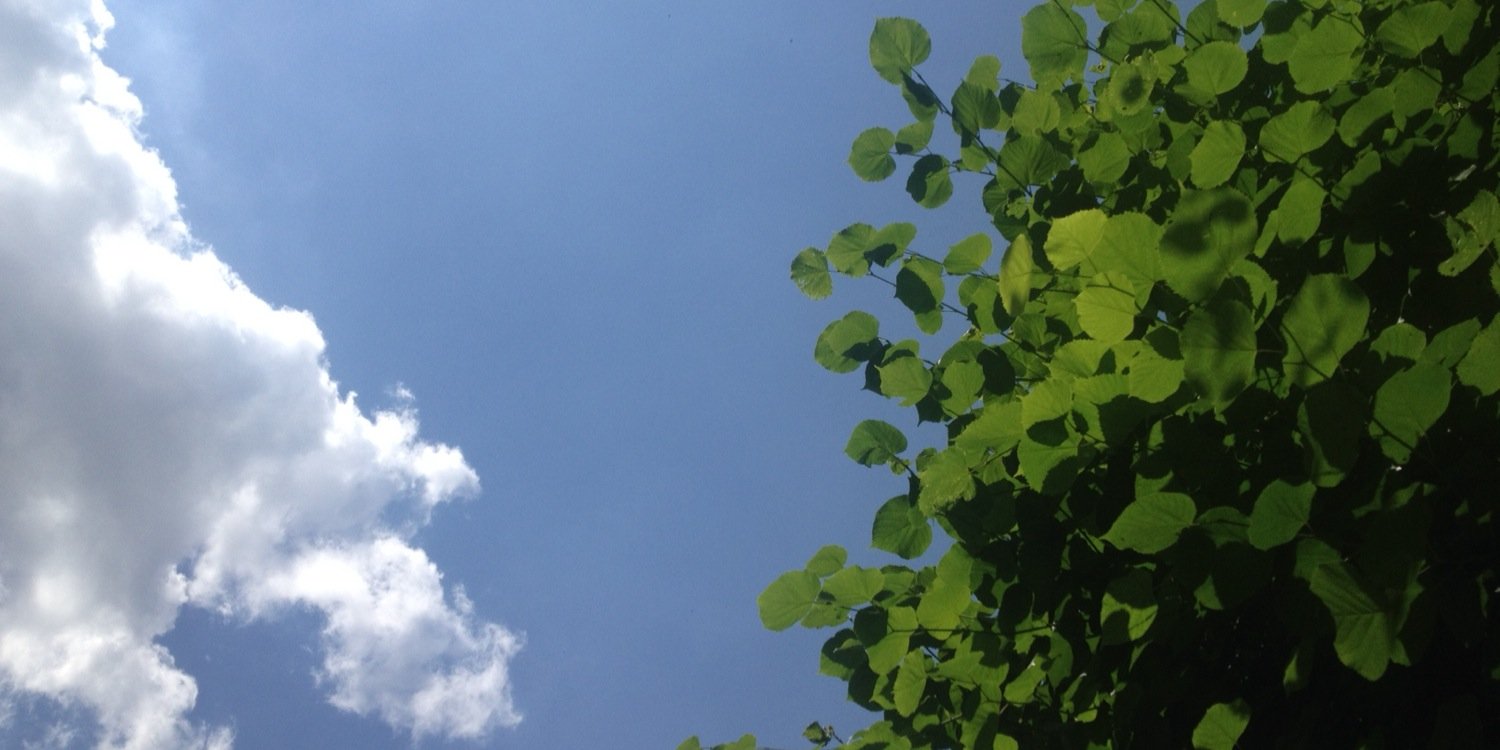 alansaidso's profile banner image