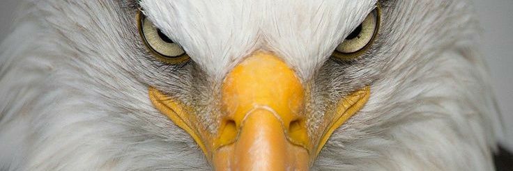 FerRod_21's profile banner image
