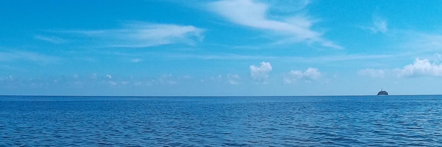 _MarciaBarnes's profile banner image