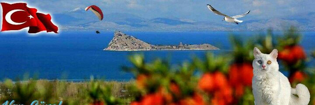 van_guzel's profile banner image
