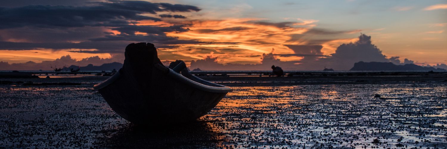 Robu  Acosta Ellero banner