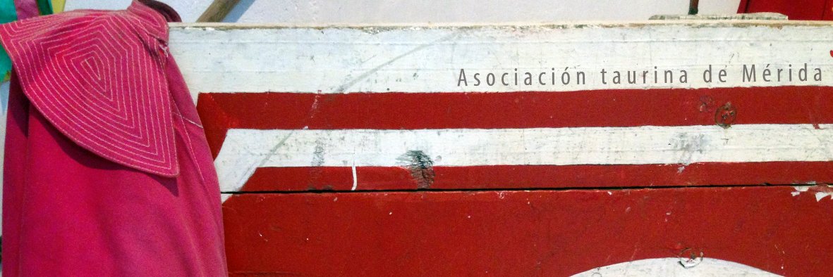 ASOTAUME's profile banner image