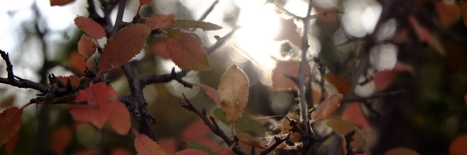 solakcglr's profile banner image