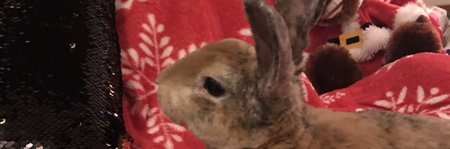 Opalpuff4073's profile banner image