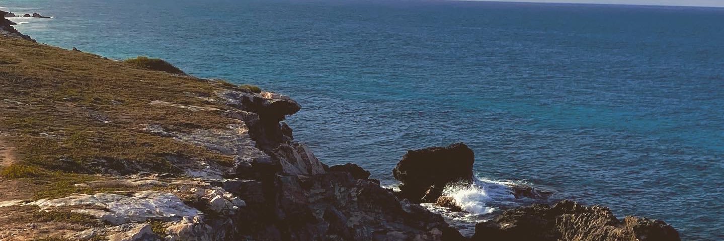 maddybum_99's profile banner image