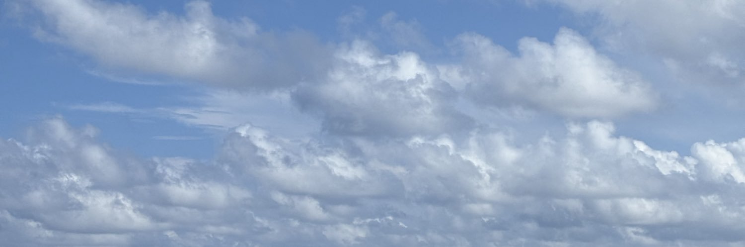 Zullypazl's profile banner image