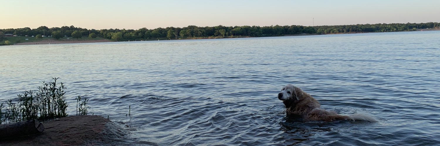 karl anthony townes van zandt banner