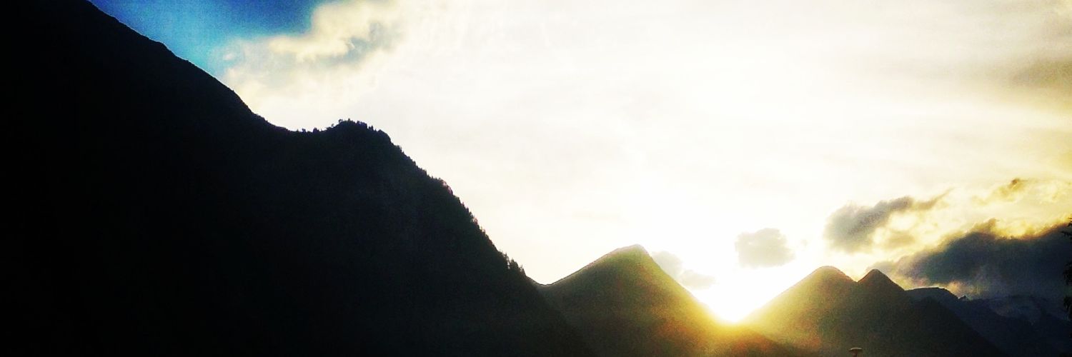 Francesca Tassi banner