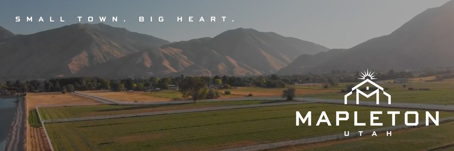 mapletoncity's profile banner image