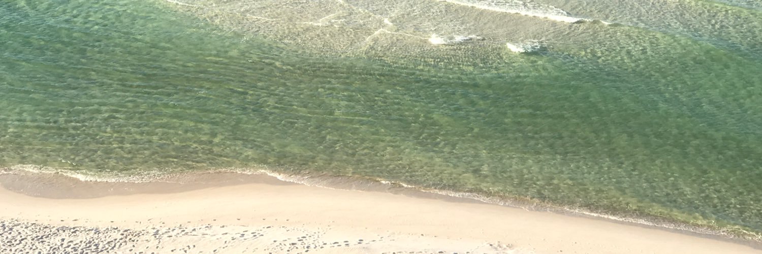 BamaGirlStepha1's profile banner image