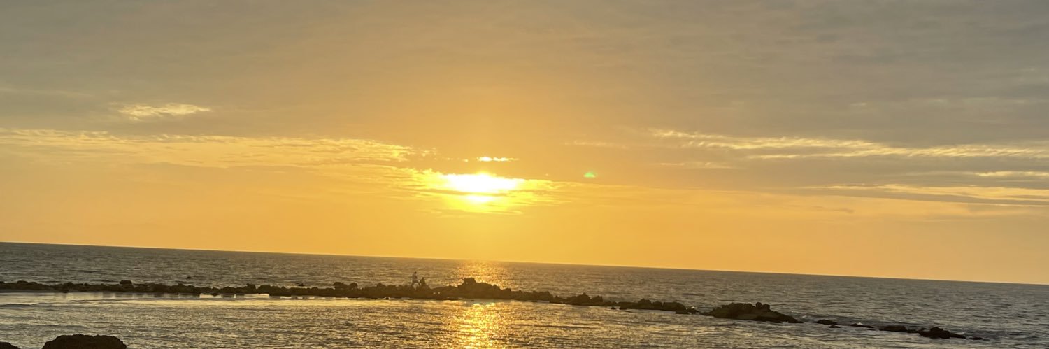 IvO_1124's profile banner image