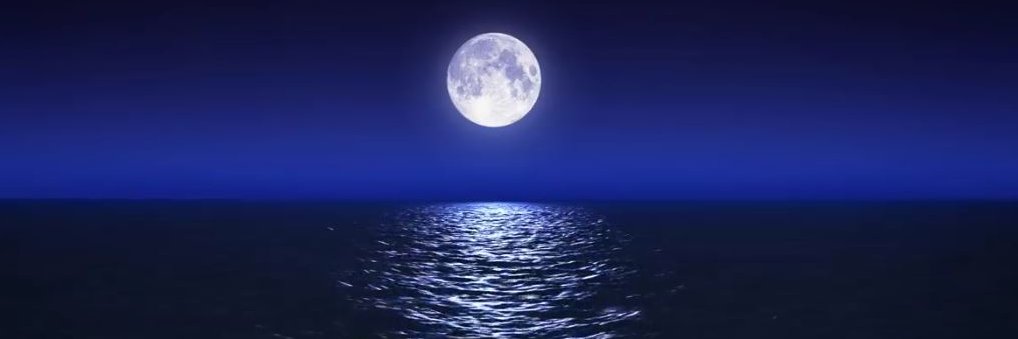 **CaptainRon** banner