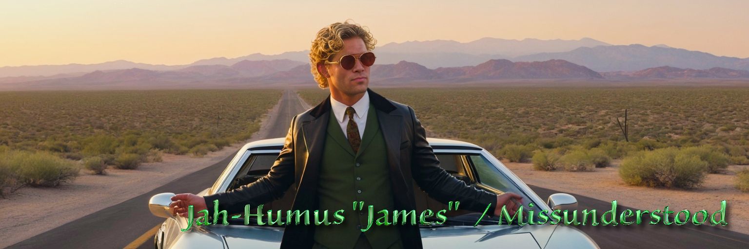 James - MissUnderstood - Boob-Al Joke-a-vich banner