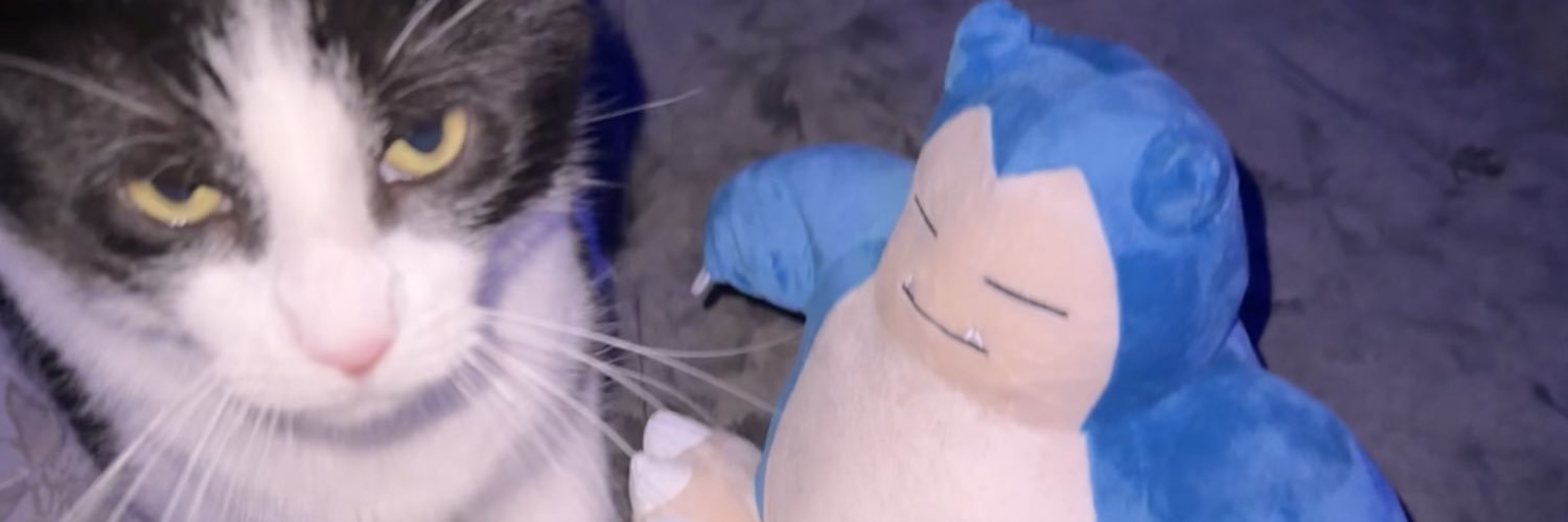 gnoricky's profile banner image