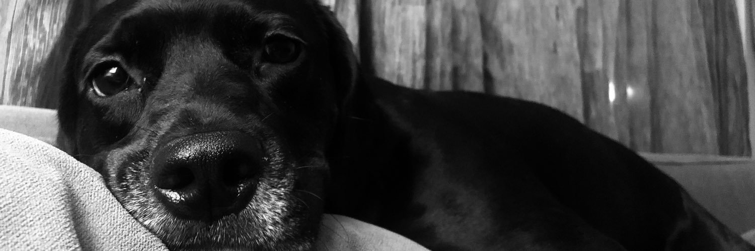 tucyilmazz's profile banner image