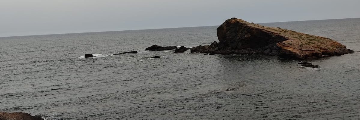 ⚓ Carlos Faria banner