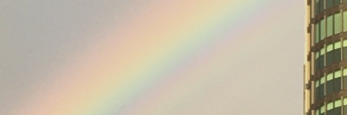 Julie Fenwick banner