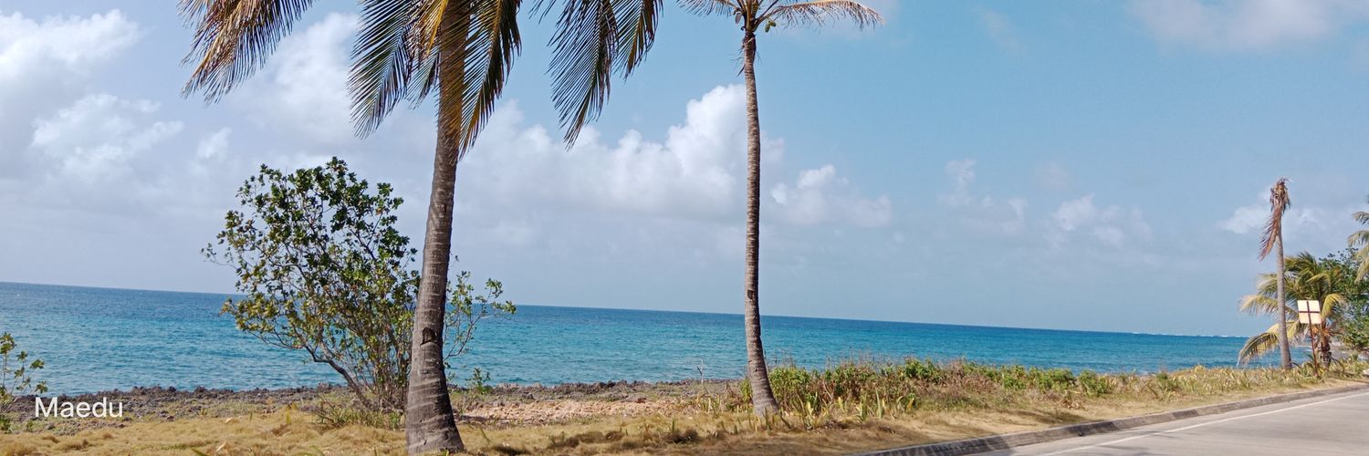 MAEDU02's profile banner image