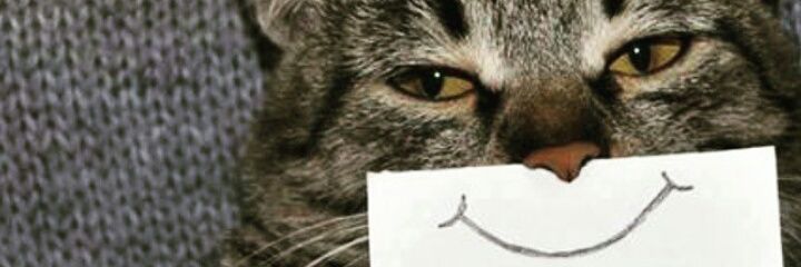 EgoRafel's profile banner image