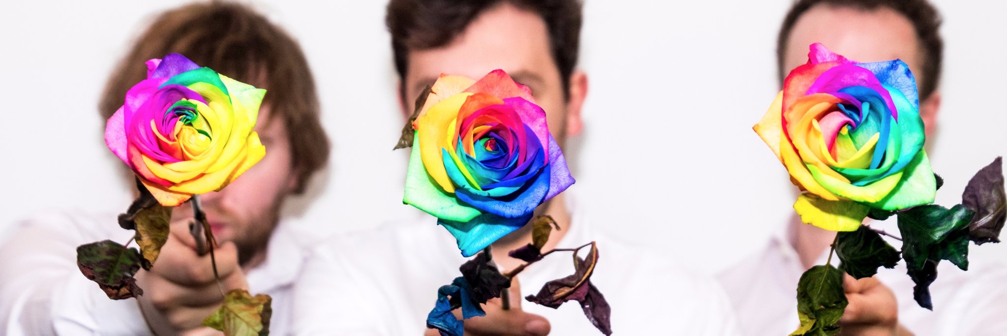 Yellow Creatures banner