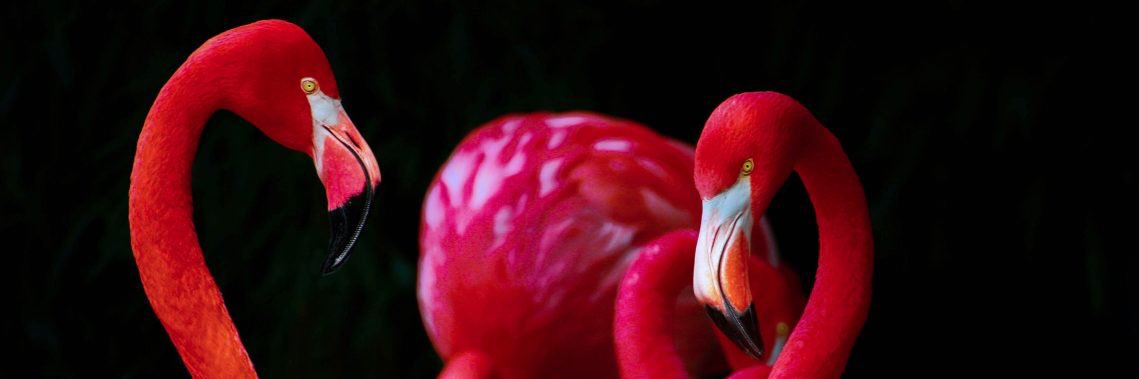 JulsCV's profile banner image