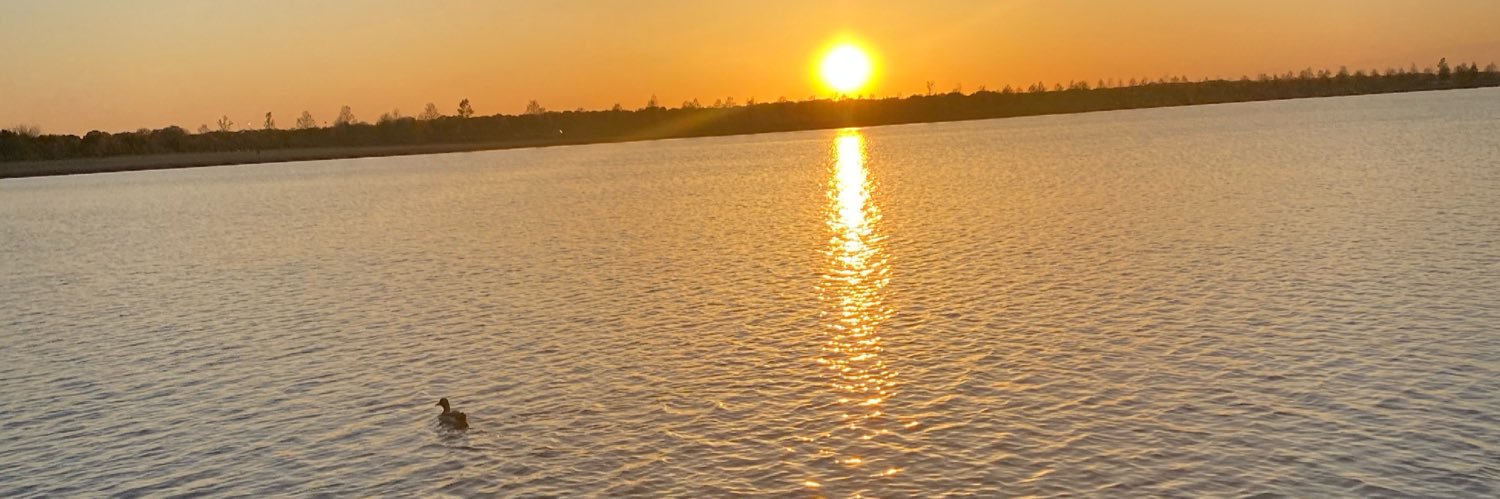 meloann89's profile banner image
