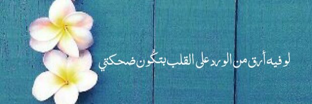mona_ebra's profile banner image