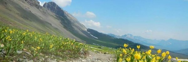 arnie_32 Profile Banner