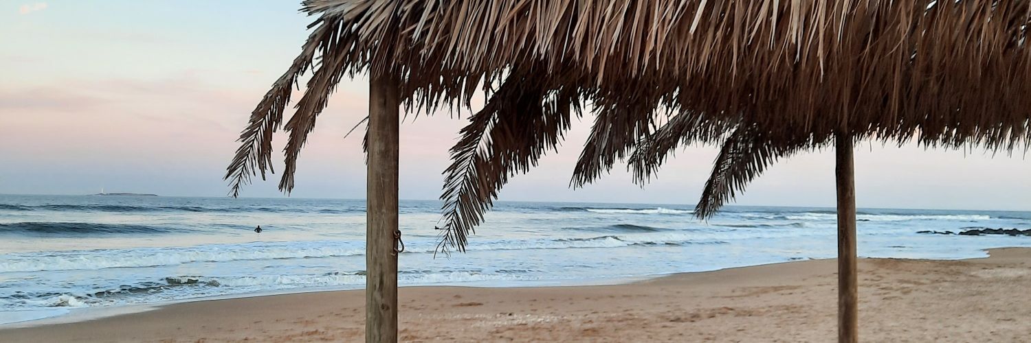 Jo_Carbonell's profile banner image