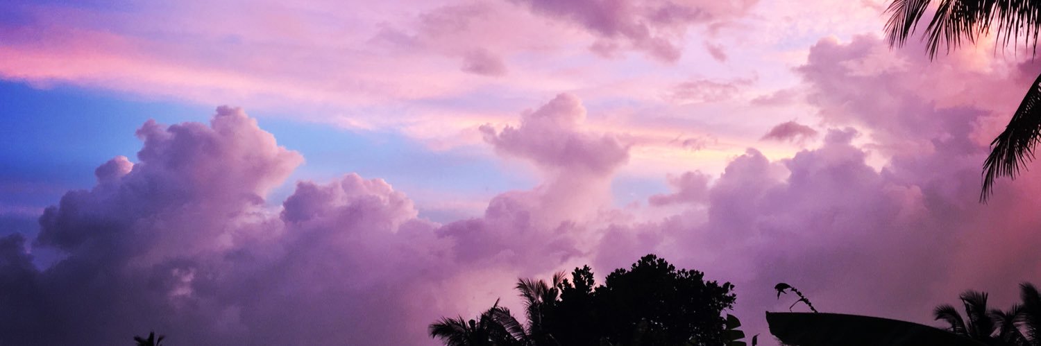 Andy Campanella banner