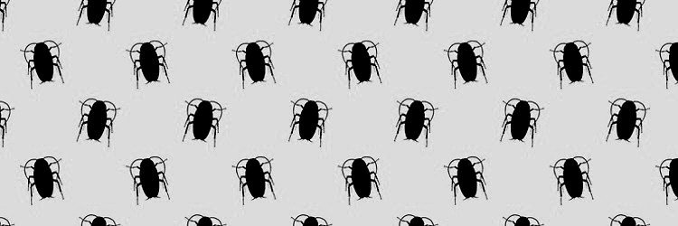 Giant Roach King ⁉️ banner