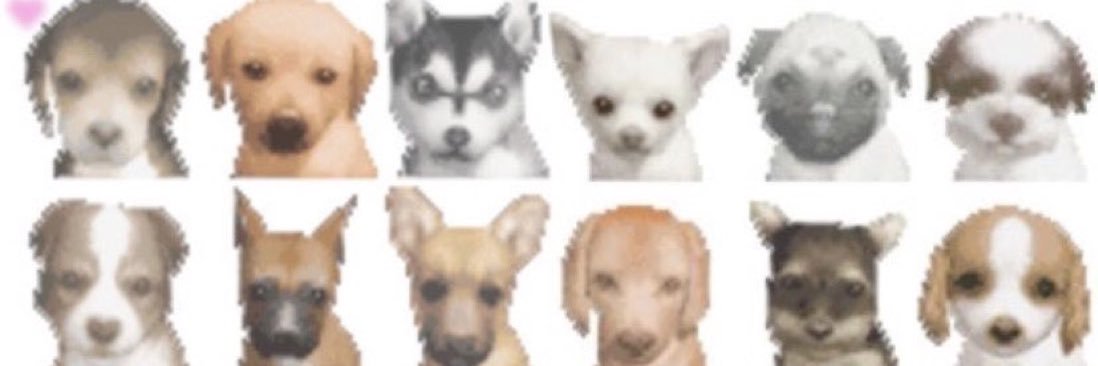 lenluvr333's profile banner image