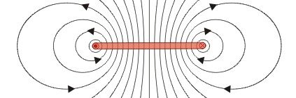 𝕯𝖆𝖓𝖓 🧉(Guzmanismo) banner