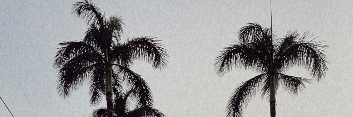 tcadizzy's profile banner image