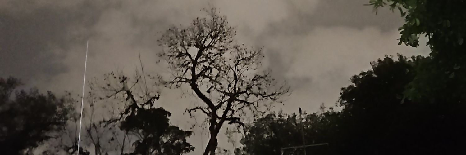 dvd4tomic's profile banner image