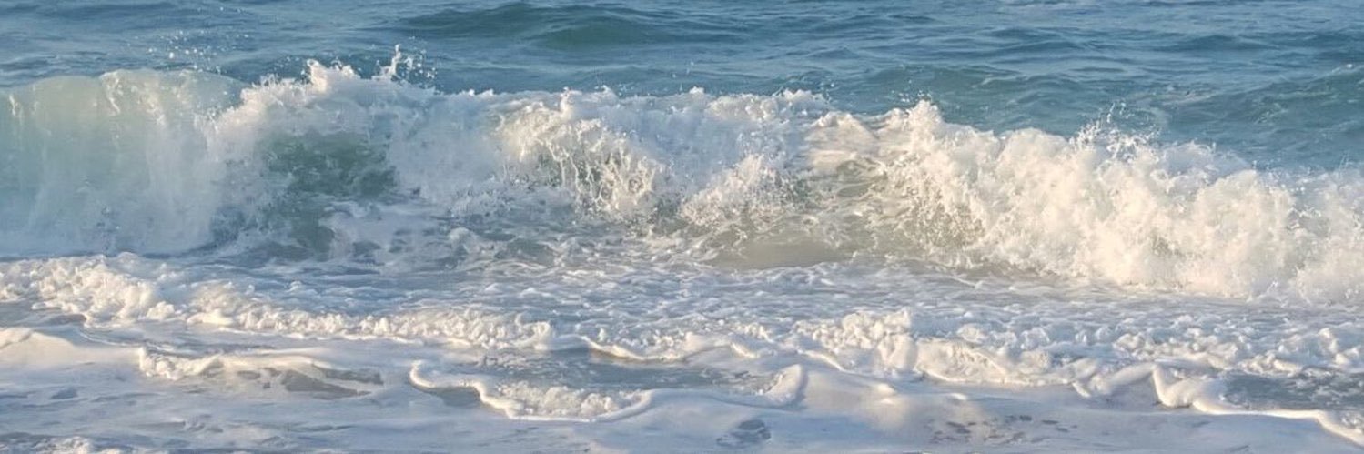 talia ❤️‍🩹 banner