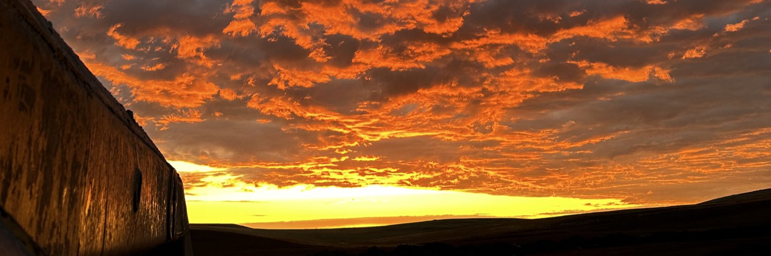 954CANES 🔥💥 CANE banner