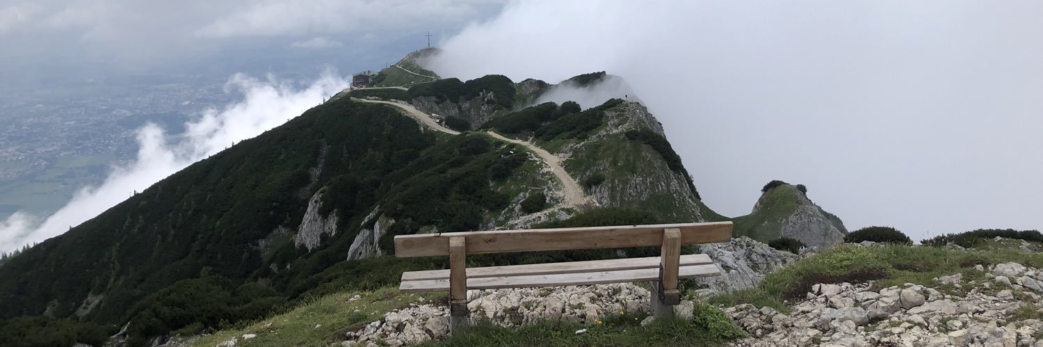 Allison Wolfe banner