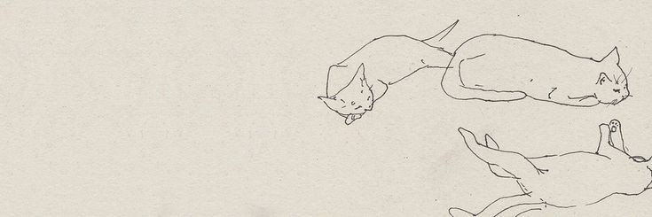 KSJRVAU's profile banner image