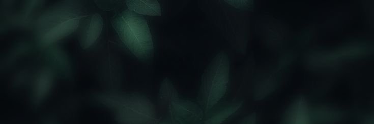 EstephaniG__'s profile banner image