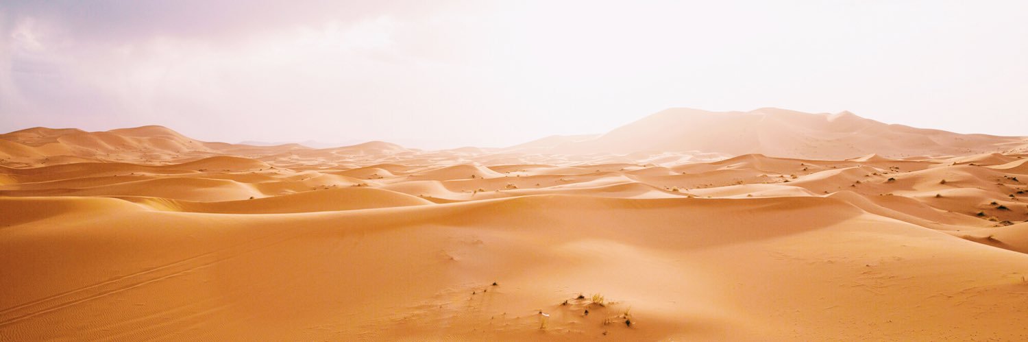 OneWorldOneYear's profile banner image