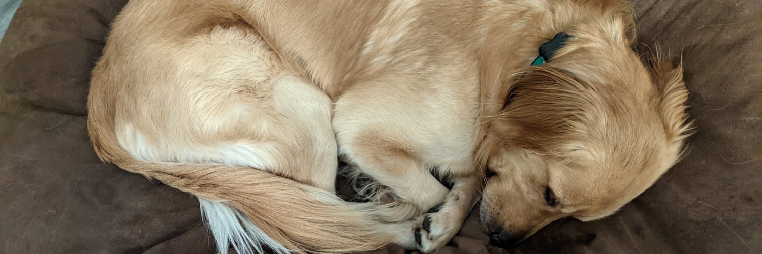 RobertKStarr's profile banner image