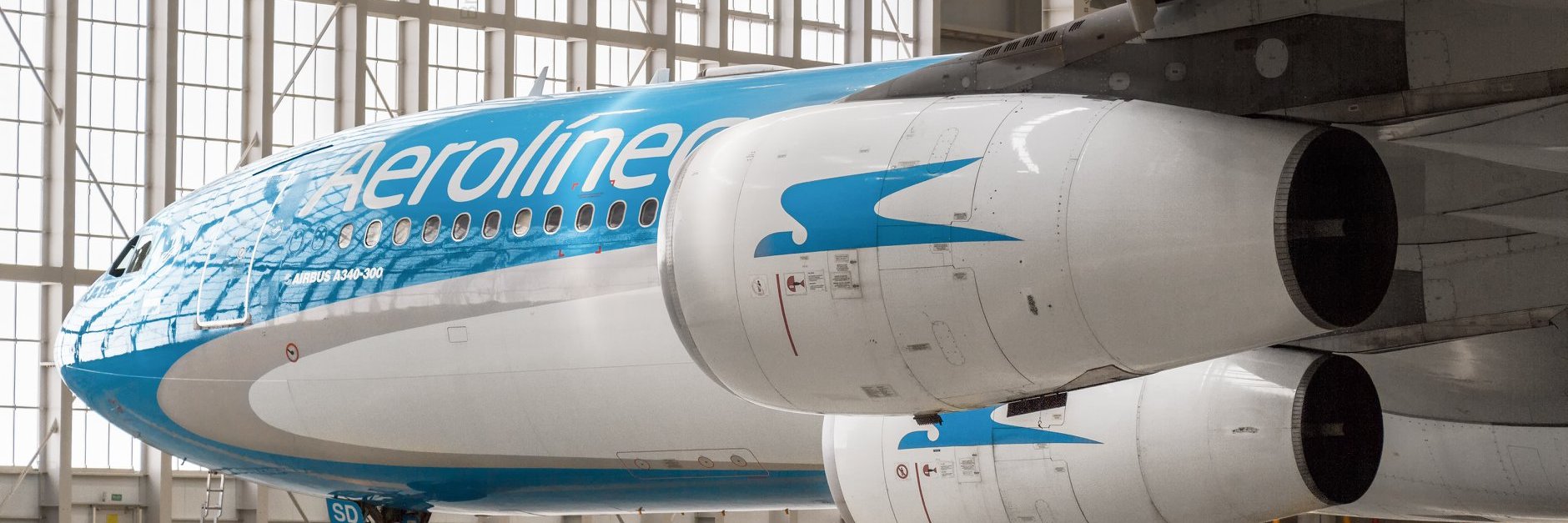 El piloto de tu vieja banner