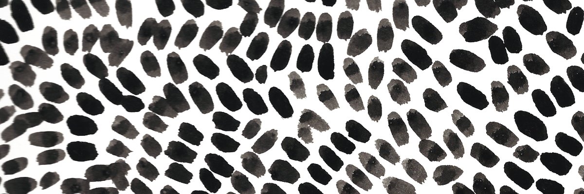 steffigraphic's profile banner image