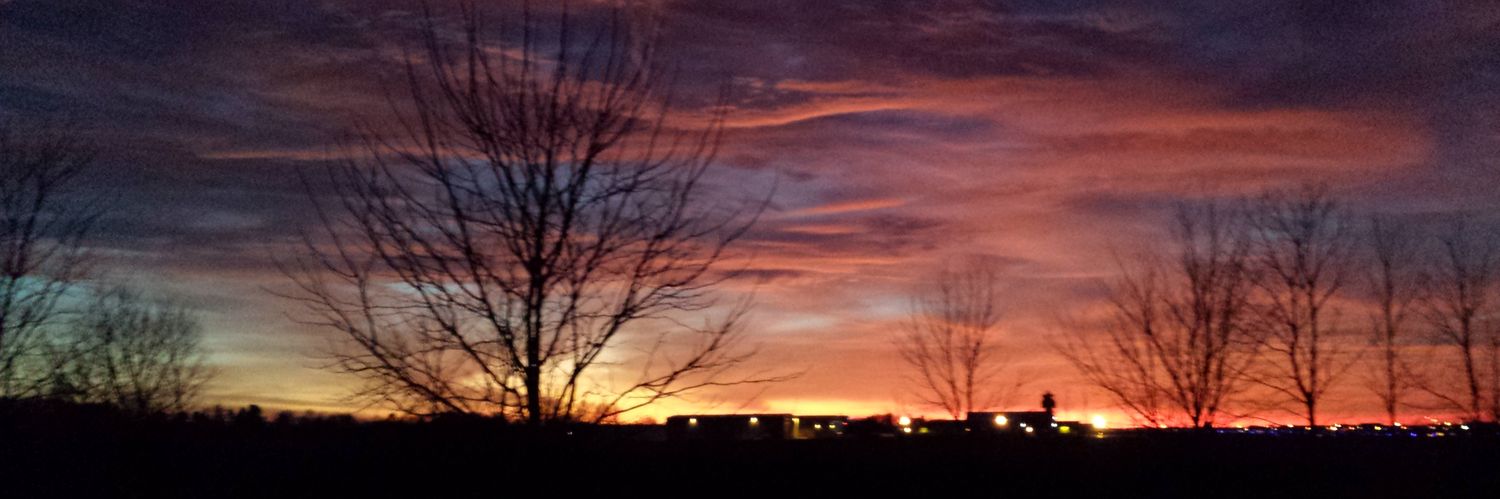 J Box-Steffensmeier banner