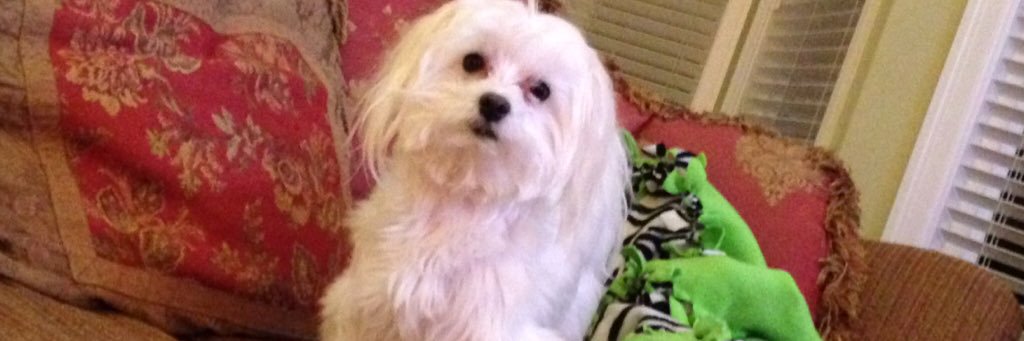 KelbyJanea's profile banner image